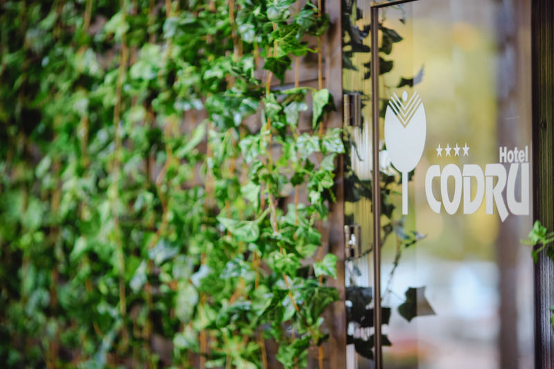 Codru Hotel Chişinau Exteriör bild